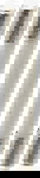 Cylindrical Time Delay Fuse: 6 A, 1-1/4